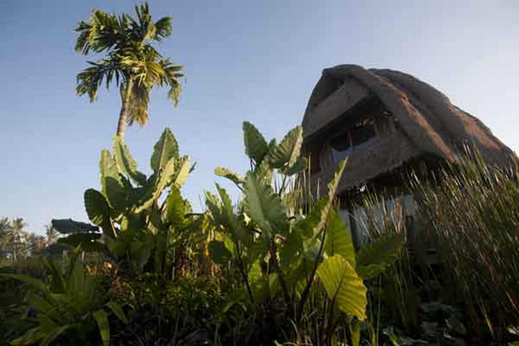 Hidden Yone Village Village de vacances Ubud