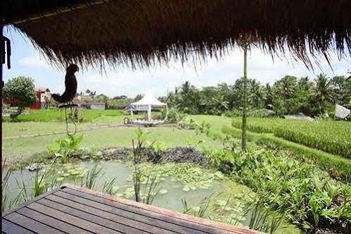 Hidden Yone Village Village de vacances Ubud
