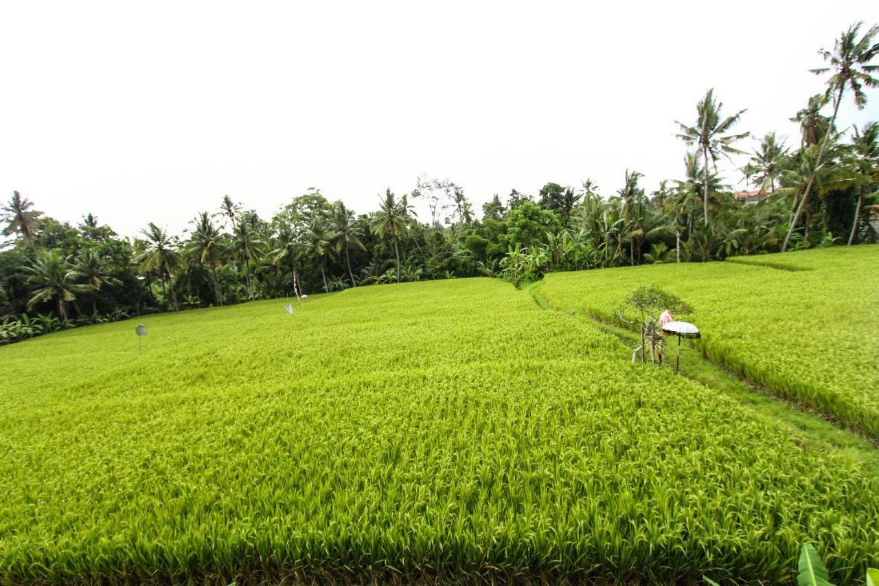 Hidden Yone Village 4* Ubud